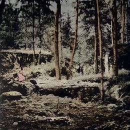 Photography, Tannière du loup 14, Irène Jonas