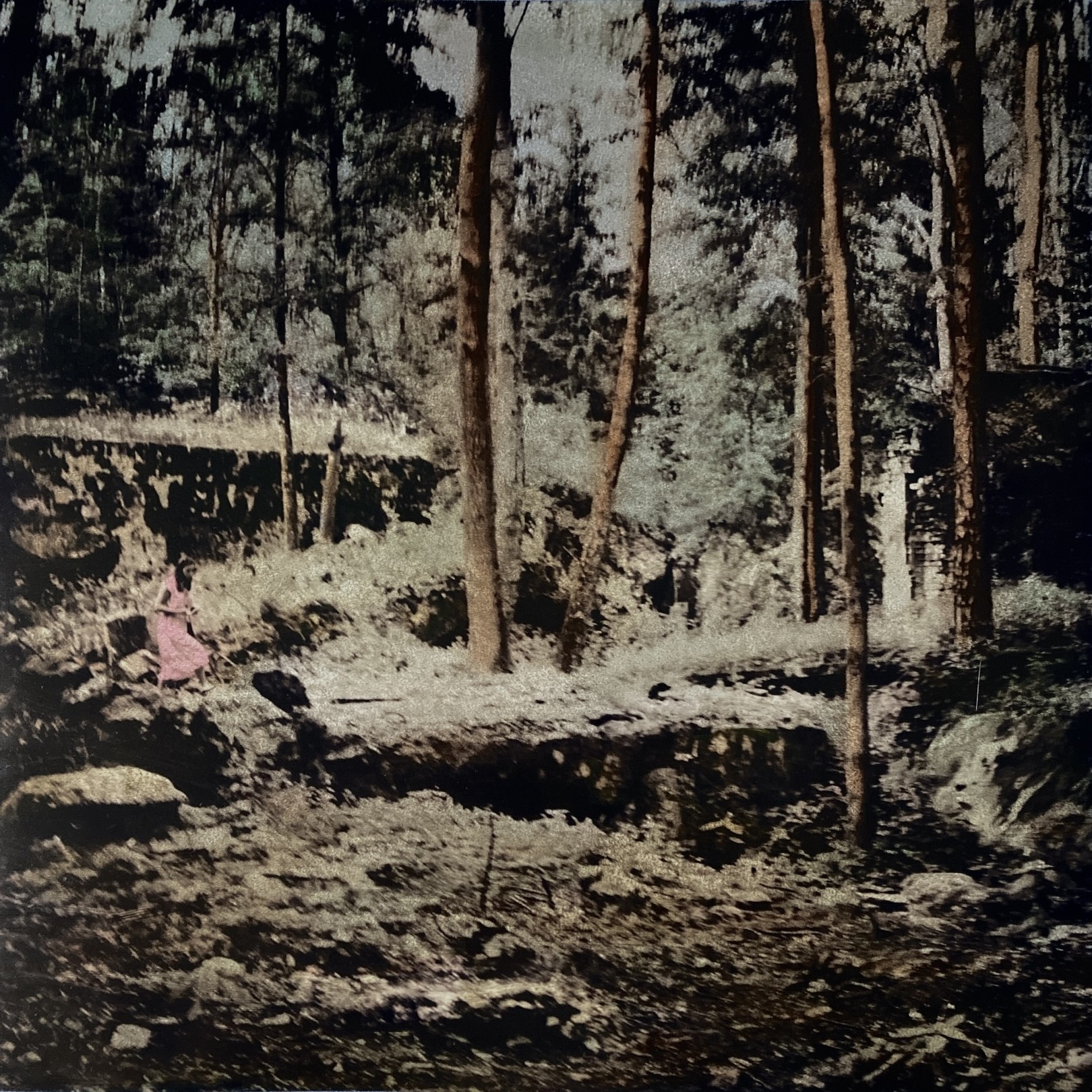 Irène Jonas, Tannière du loup 14 Irène Jonas, Tannière du loup 14