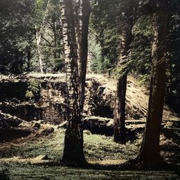 Photography, Tannière du loup 16, Irène Jonas