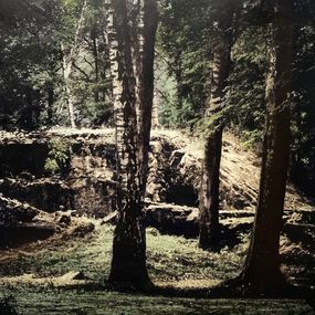 Photographie, Tannière du loup 16, Irène Jonas