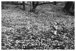 Photography, 17. Untitled, Larry Clark