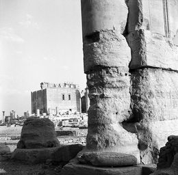 Photography, Palmyre, temple de Bêl, Michel Eisenlohr