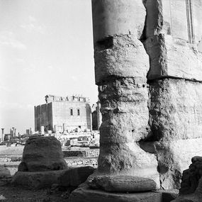 Photographie, Palmyre, temple de Bêl, Michel Eisenlohr