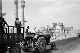 Photographie, Palmyre, arc monumental, Michel Eisenlohr