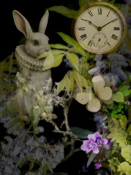 Édition, Alice In Wonderland and The Secret Garden, Victoria Horkan