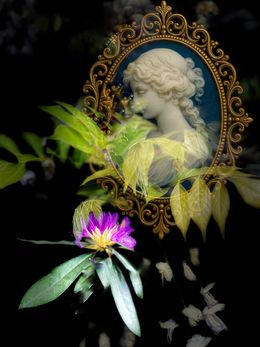 Édition, Enchanted Dear Miss. Darcy (42), Victoria Horkan