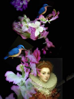 Édition, Enchanted Dear Miss. Darcy (44), Victoria Horkan