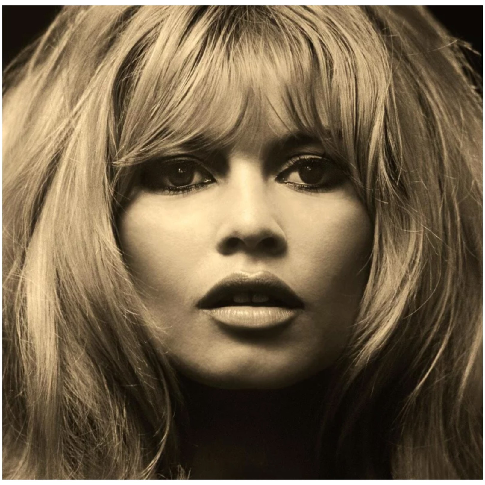 Douglas Kirkland, Brigitte Bardot Douglas Kirkland, Brigitte Bardot