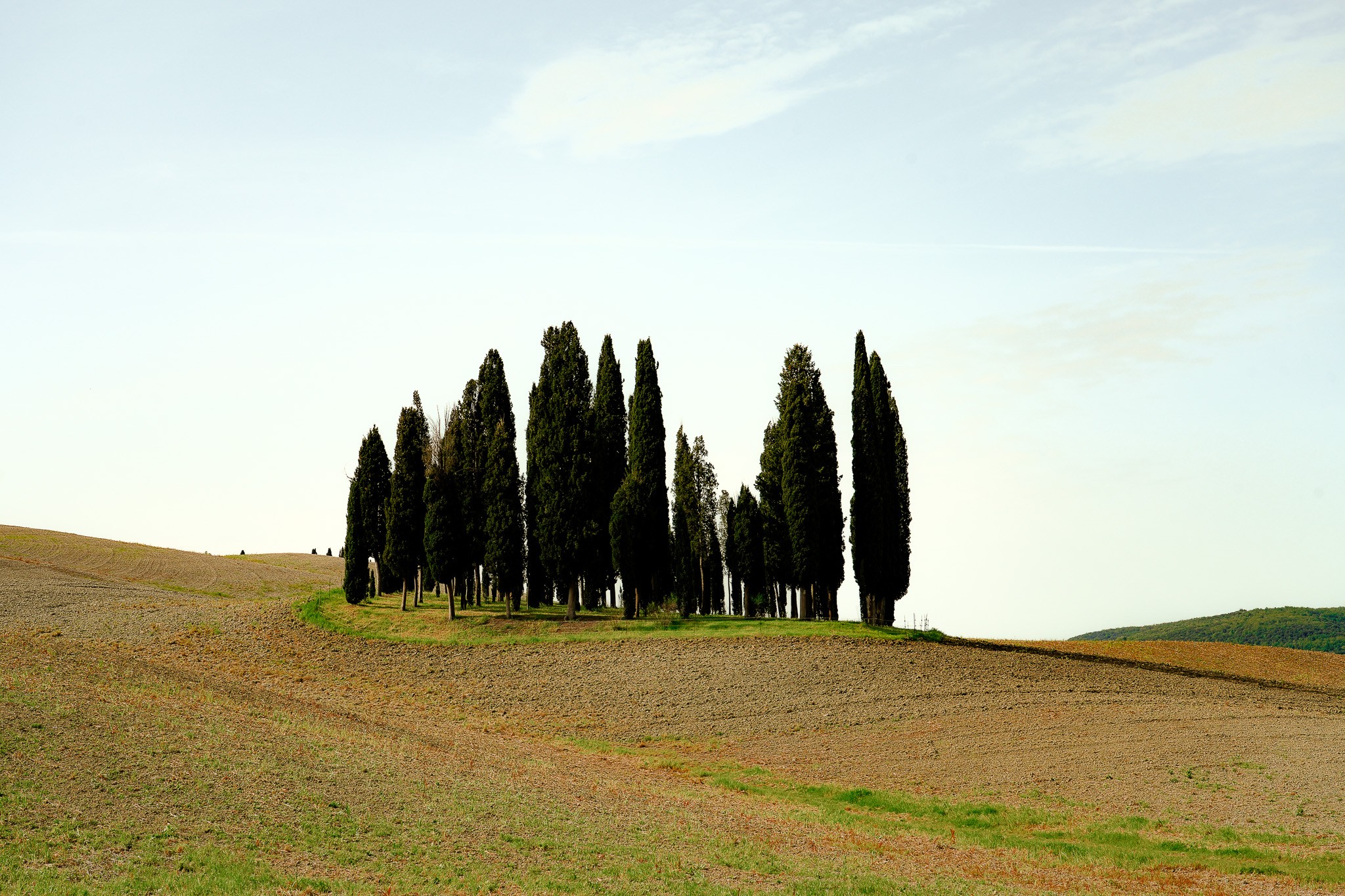 Arantza NT Photography, Cypress Hills of Val d'Orcia Arantza NT Photography, Cypress Hills of Val d'Orcia