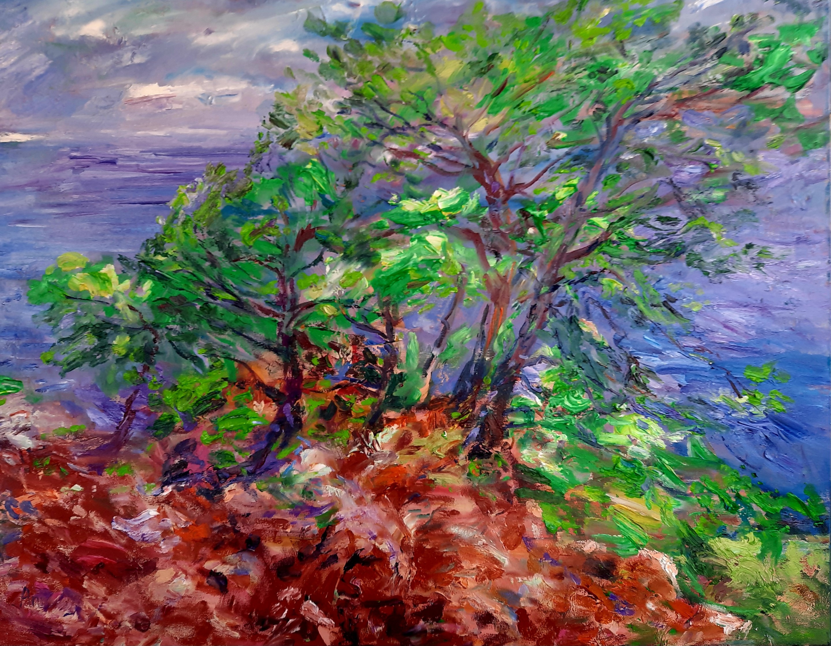 Anna Privaloff, Wind Anna Privaloff, Wind