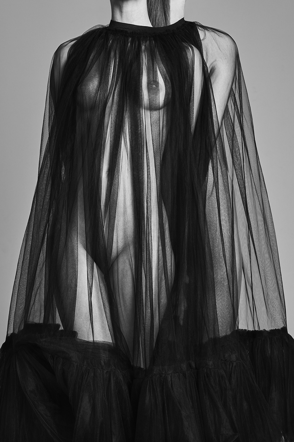 George Mayer, Harmony, Portrait #5 George Mayer, Harmony, Portrait #5