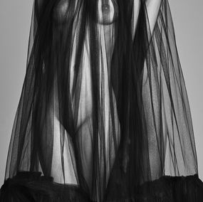 Photography, Harmony, Portrait #5, George Mayer