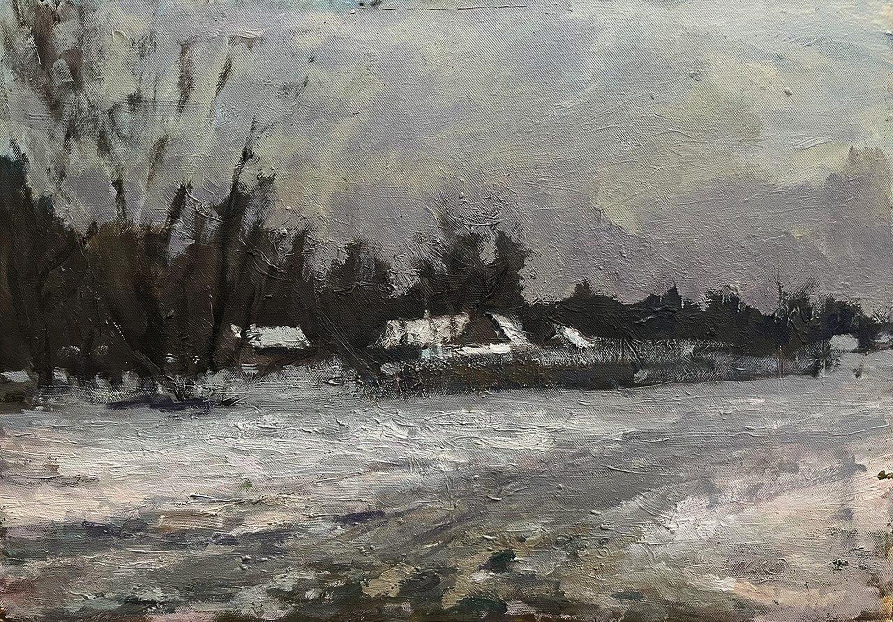 Volodymyr Pashchenko, After the winter snowstorm Volodymyr Pashchenko, After the winter snowstorm