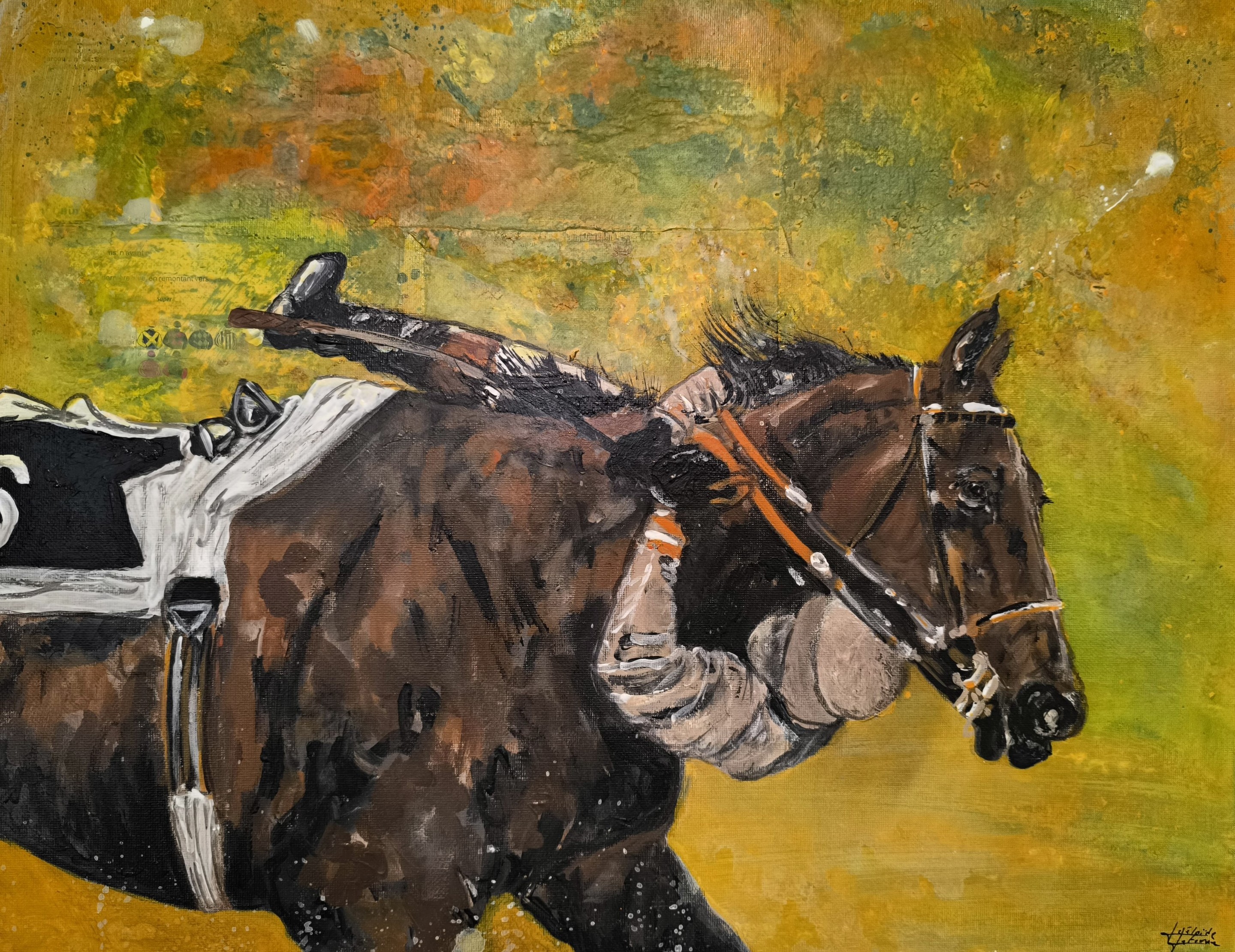 Kalh Art Kalley, Never give up - Chamberko Christophe Pieux - Auteuil Grand Steeple - Horseracing Kalh Art Kalley, Never give up - Chamberko Christophe Pieux - Auteuil Grand Steeple - Horseracing
