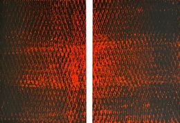 Painting, Red and Black I & II, Expanded Metal Painting. Diptych, Clemens Wolf