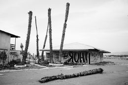 Photographie, Royal Hawaiian motel 2 (M), Brice Gelot