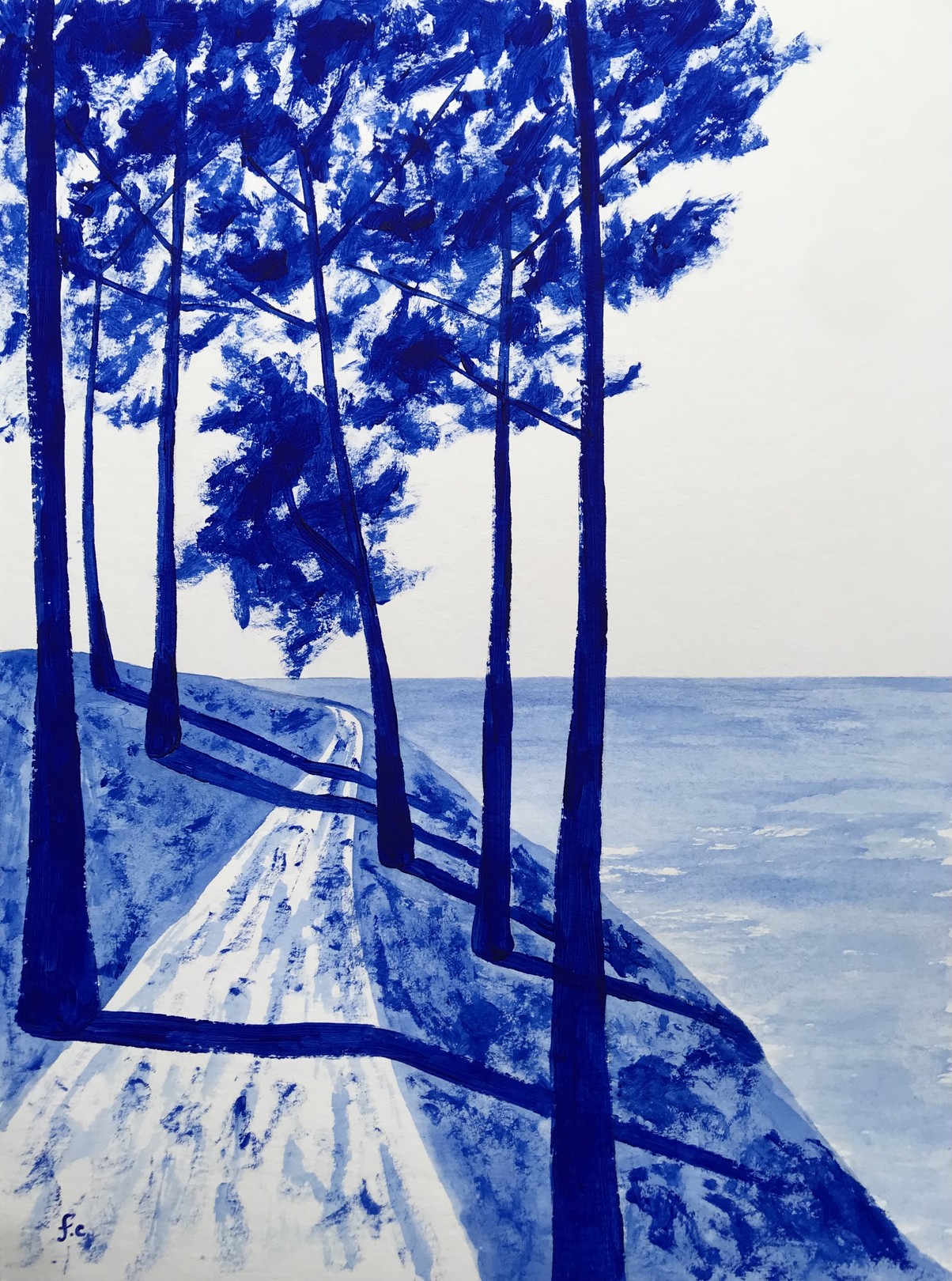 Frédéric Cadiou, Le Sentier côtier Frédéric Cadiou, Le Sentier côtier