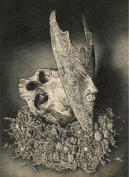 Dessin, The Sandman, Odona Bones
