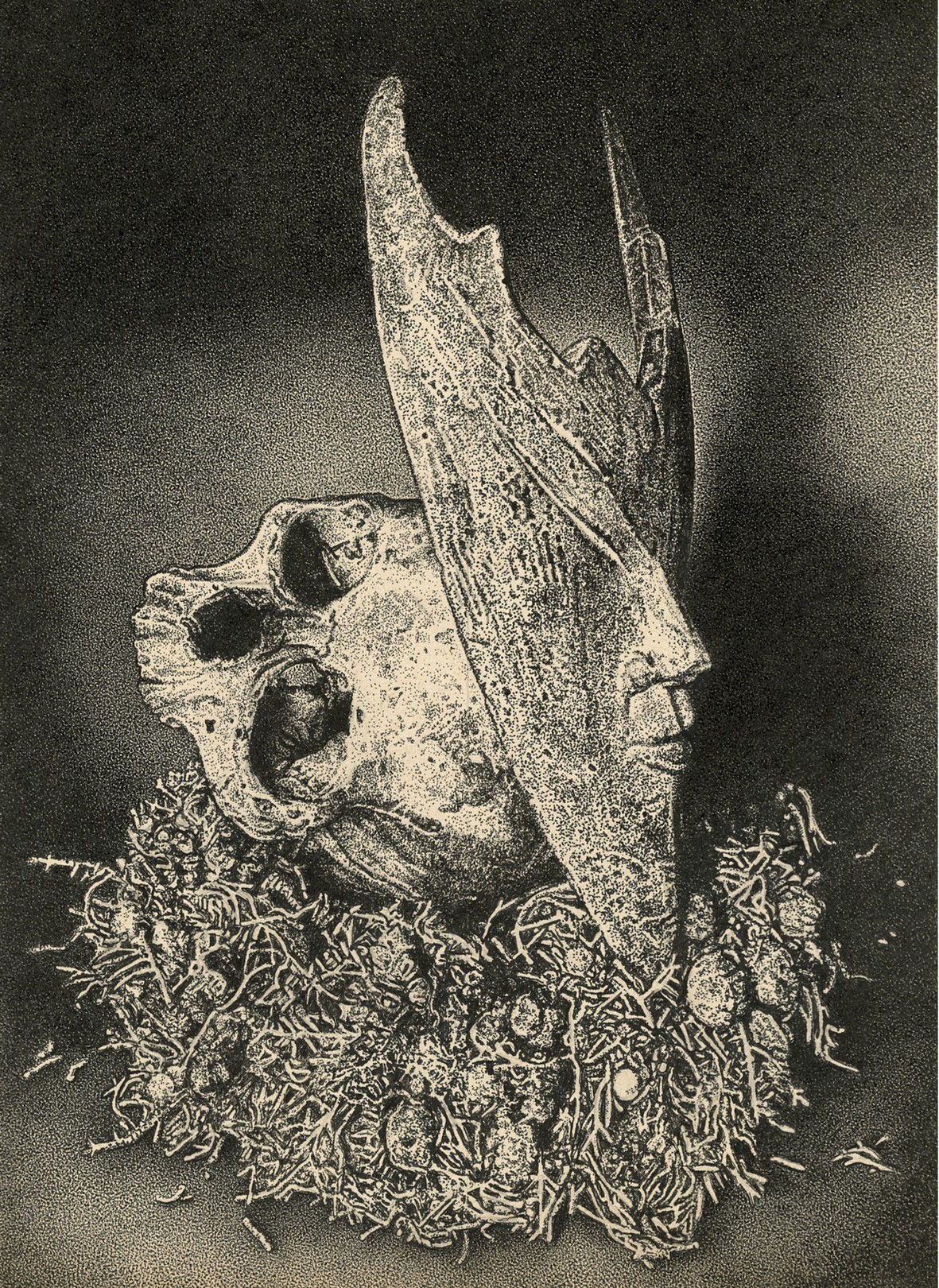 Odona Bones, The Sandman Odona Bones, The Sandman