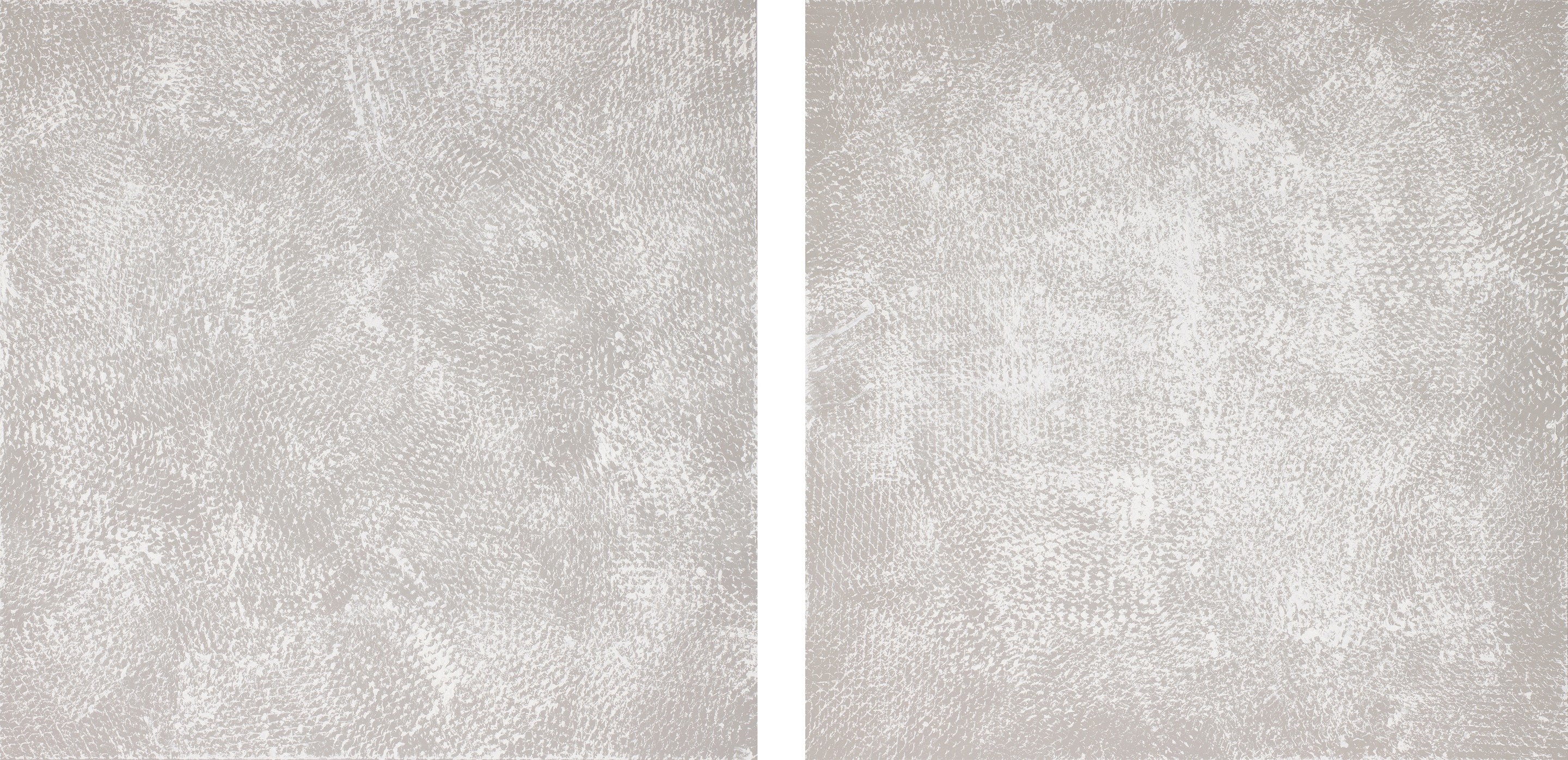 Clemens Wolf, Grey and White I and II, Expanded Metal Painting. Diptych Clemens Wolf, Grey and White I and II, Expanded Metal Painting. Diptych