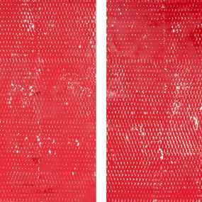 Peinture, Red and White II and III, Expanded Metal Painting. Diptych, Clemens Wolf