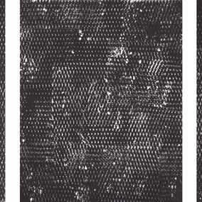 Painting, Black and White I, II and III, Expanded Metal Painting. Triptych, Clemens Wolf