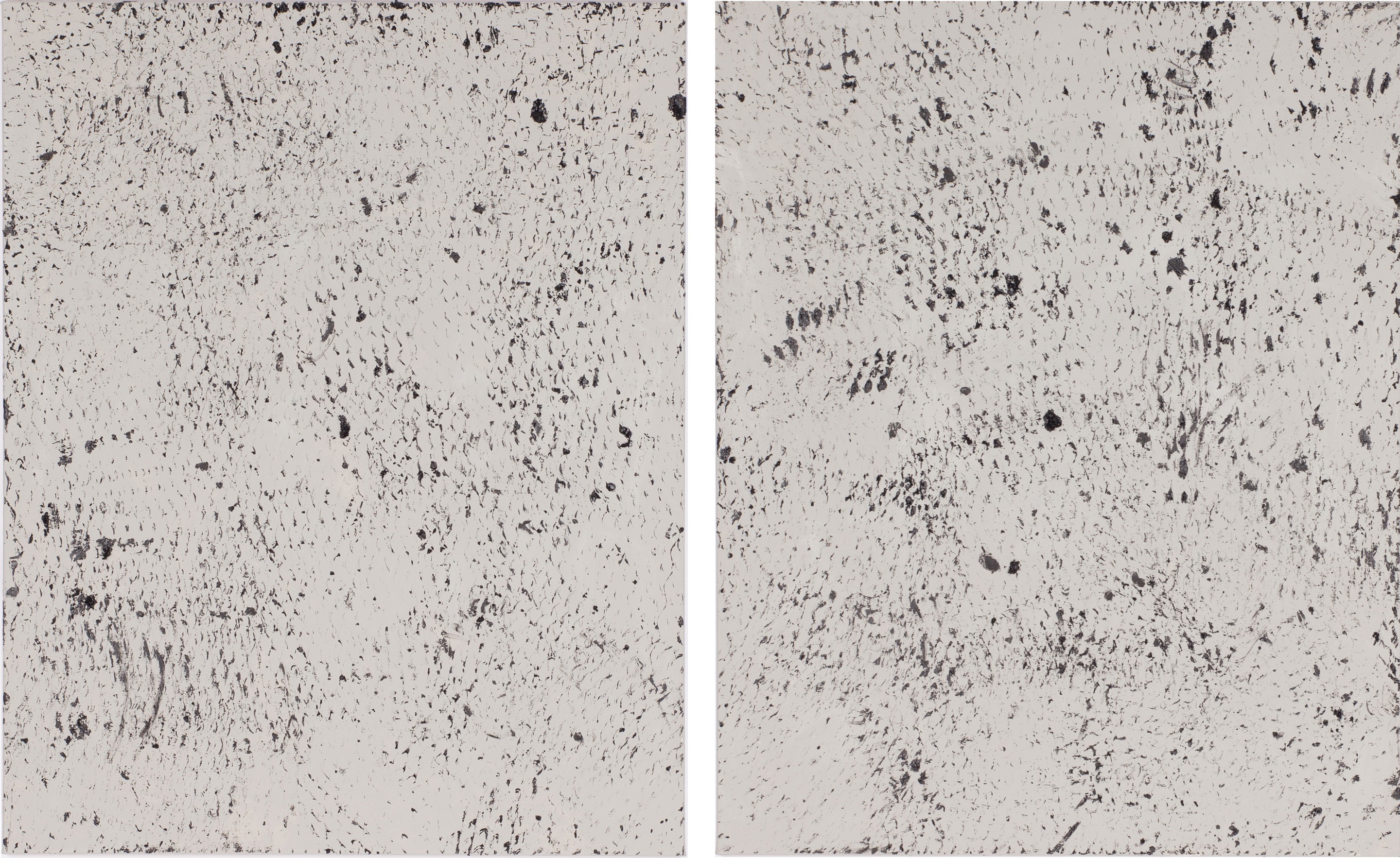 Clemens Wolf, Black and Grey I and II, Expanded Metal Painting. Diptych Clemens Wolf, Black and Grey I and II, Expanded Metal Painting. Diptych