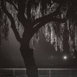 Photography, Night, Gonçalo Martins