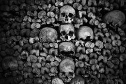Photography, Memento Mori (L), Brice Gelot
