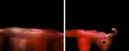 Photography, Red Pause and Artificial Blast, Diptych. From The While You Are Sleeping Series, Arslan Sükan
