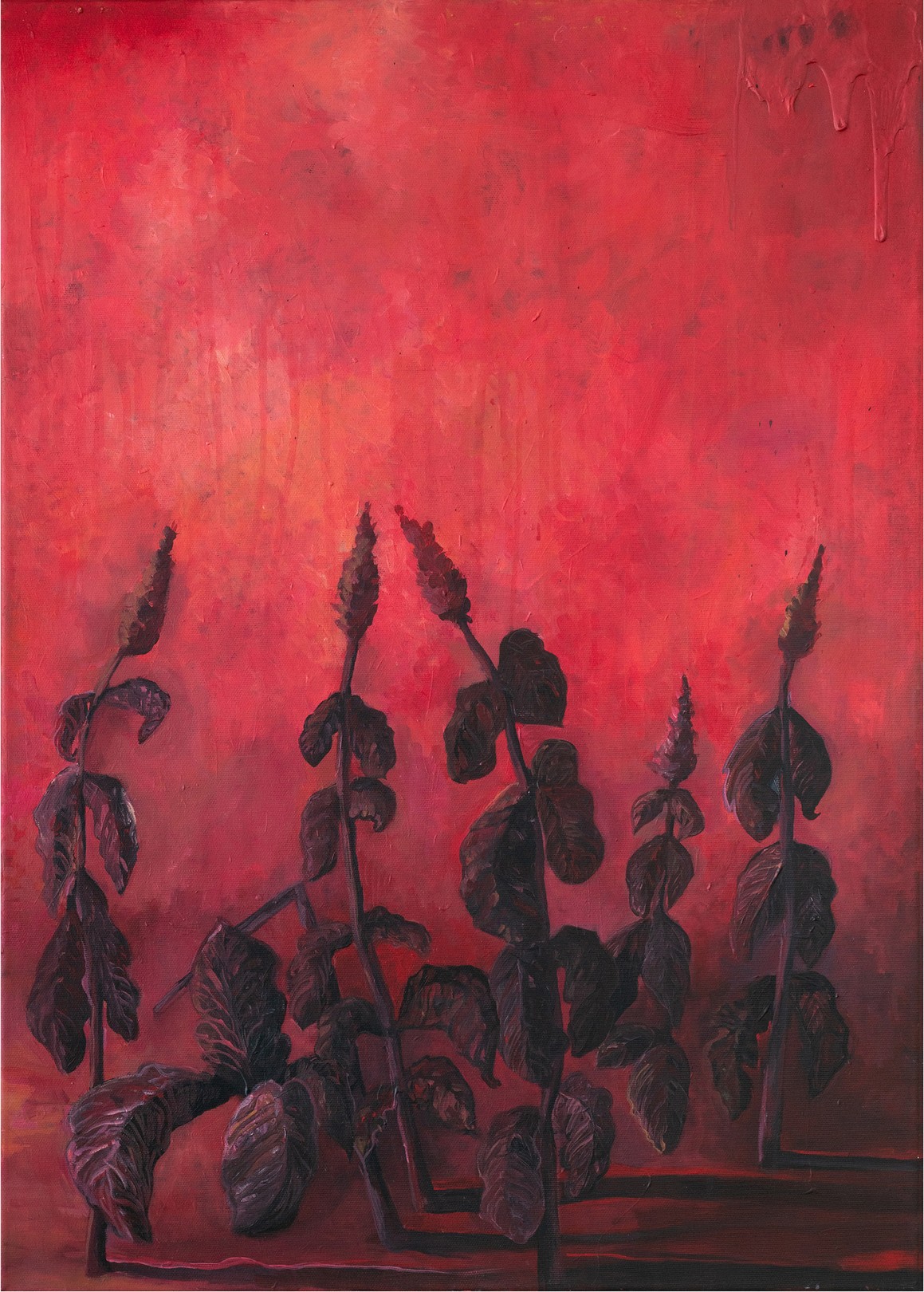 Amalia Crisan, Flori de foc / Flowers of fire Amalia Crisan, Flori de foc / Flowers of fire