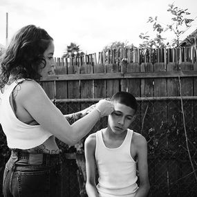 Photographie, Backyard buzz (S), Brice Gelot