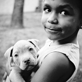 Photographie, Misled youth (S), Brice Gelot