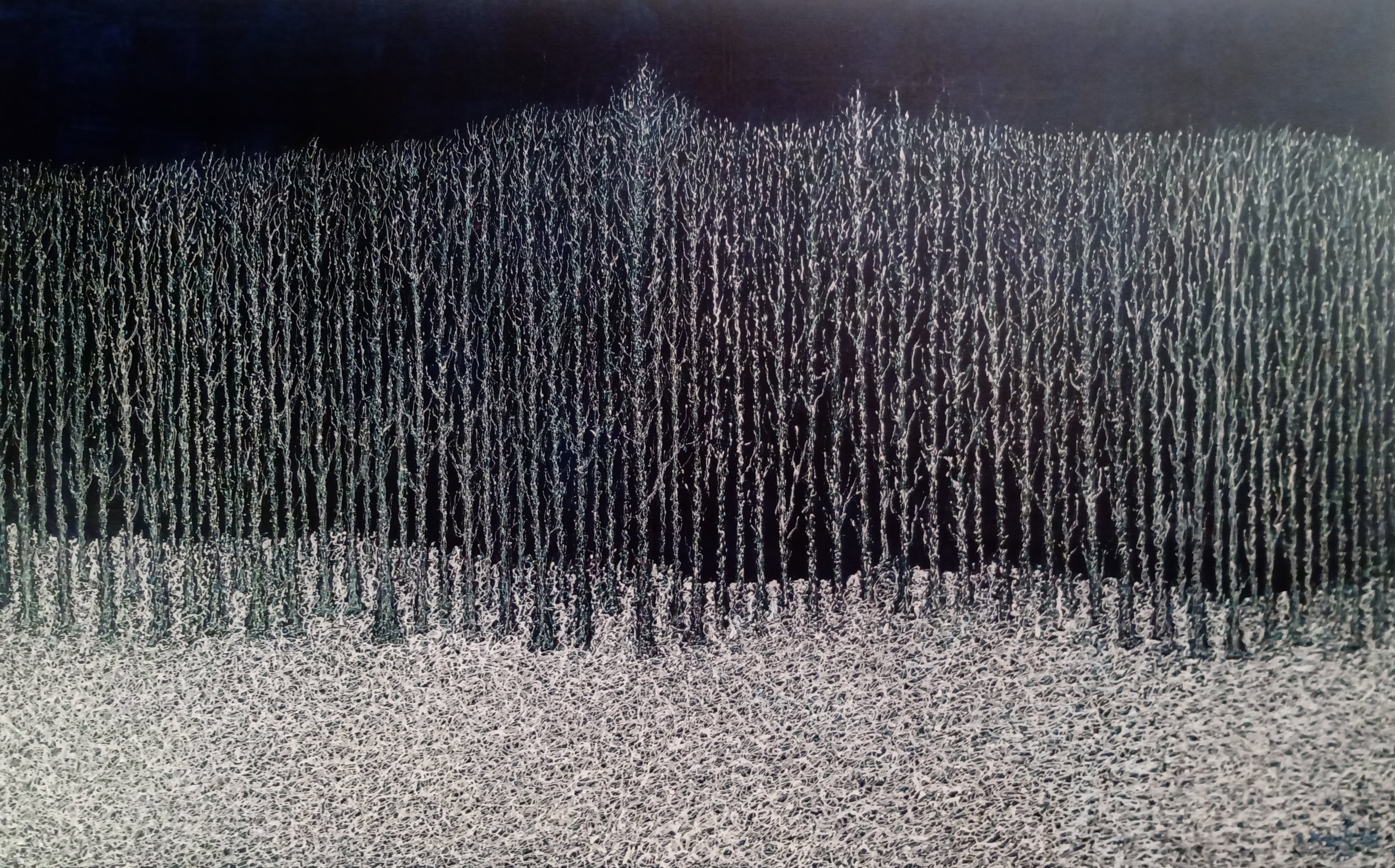 Antonio Presti, Bosco di notte Antonio Presti, Bosco di notte
