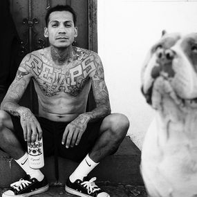 Photography, Hood raised (S), Brice Gelot