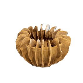 Skulpturen, Rose des sables, Terres Meres