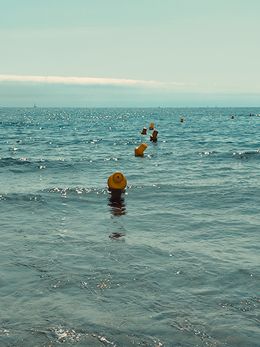 Photography, Yellow buoys, Natalya Mougenot