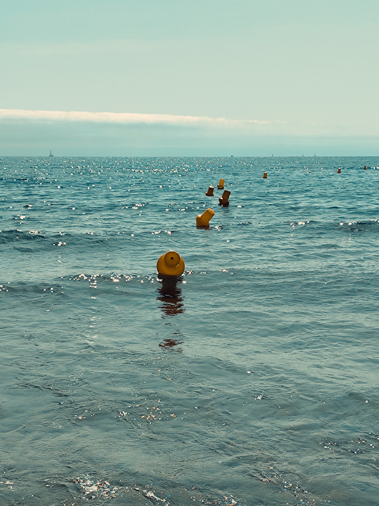 Natalya Mougenot, Yellow buoys Natalya Mougenot, Yellow buoys