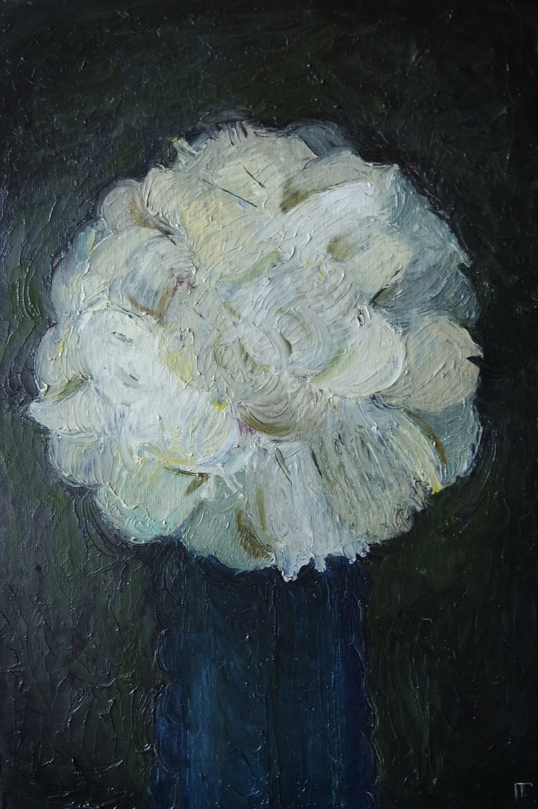 Galya Popova, A flower Galya Popova, A flower