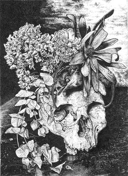Fine Art Drawings, Vanité à l'oiseau, Odona Bones