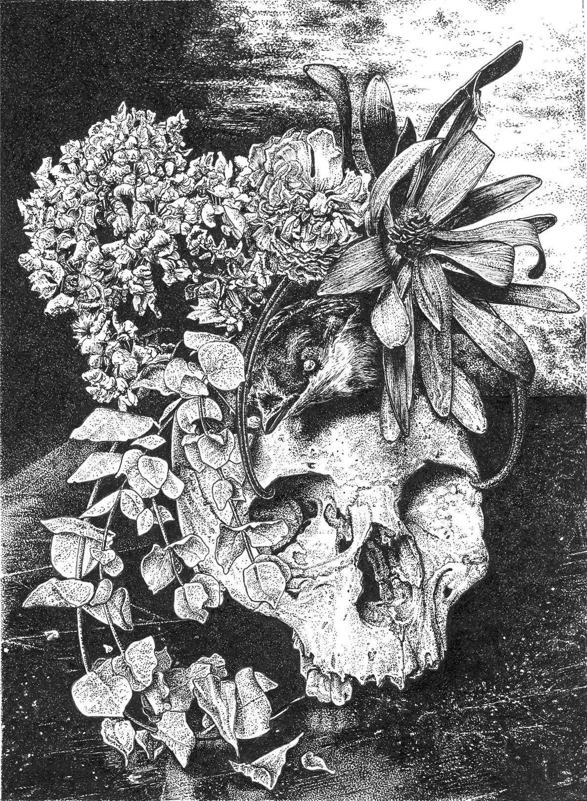 Odona Bones, Vanité à l'oiseau Odona Bones, Vanité à l'oiseau