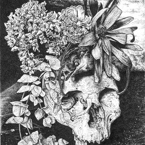 Fine Art Drawings, Vanité à l'oiseau, Odona Bones
