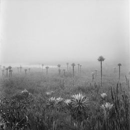 Photography, Lagunas de Buitrago Chingaza, Miguel Winograd
