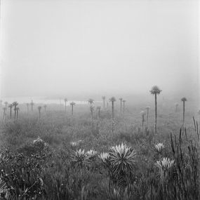 Fotografia, Lagunas de Buitrago Chingaza, Miguel Winograd