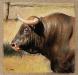 Fine Art Drawings, Bronce, Karina Lara