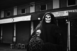 Photography, Crimson ghost - Misfits (M), Brice Gelot