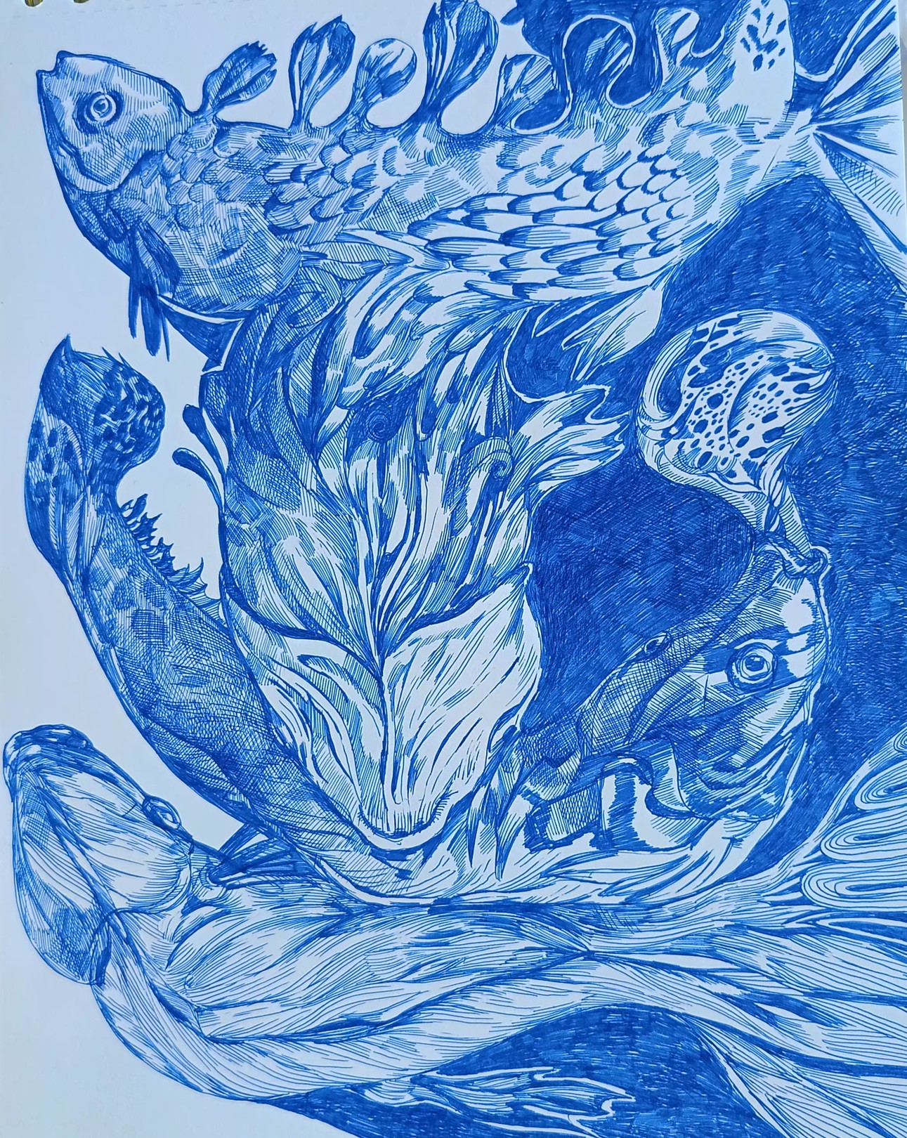 Iryna Burda, Metamorphoses Iryna Burda, Metamorphoses