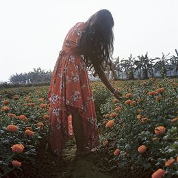 Fotografien, Où commence le jour? 03, Elodie Guignard