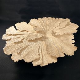 Escultura, Schizophylle sycomore, Agnès K.
