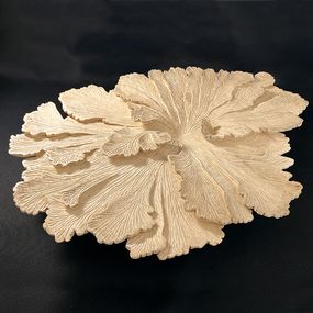 Sculpture, Schizophylle sycomore, Agnès K.